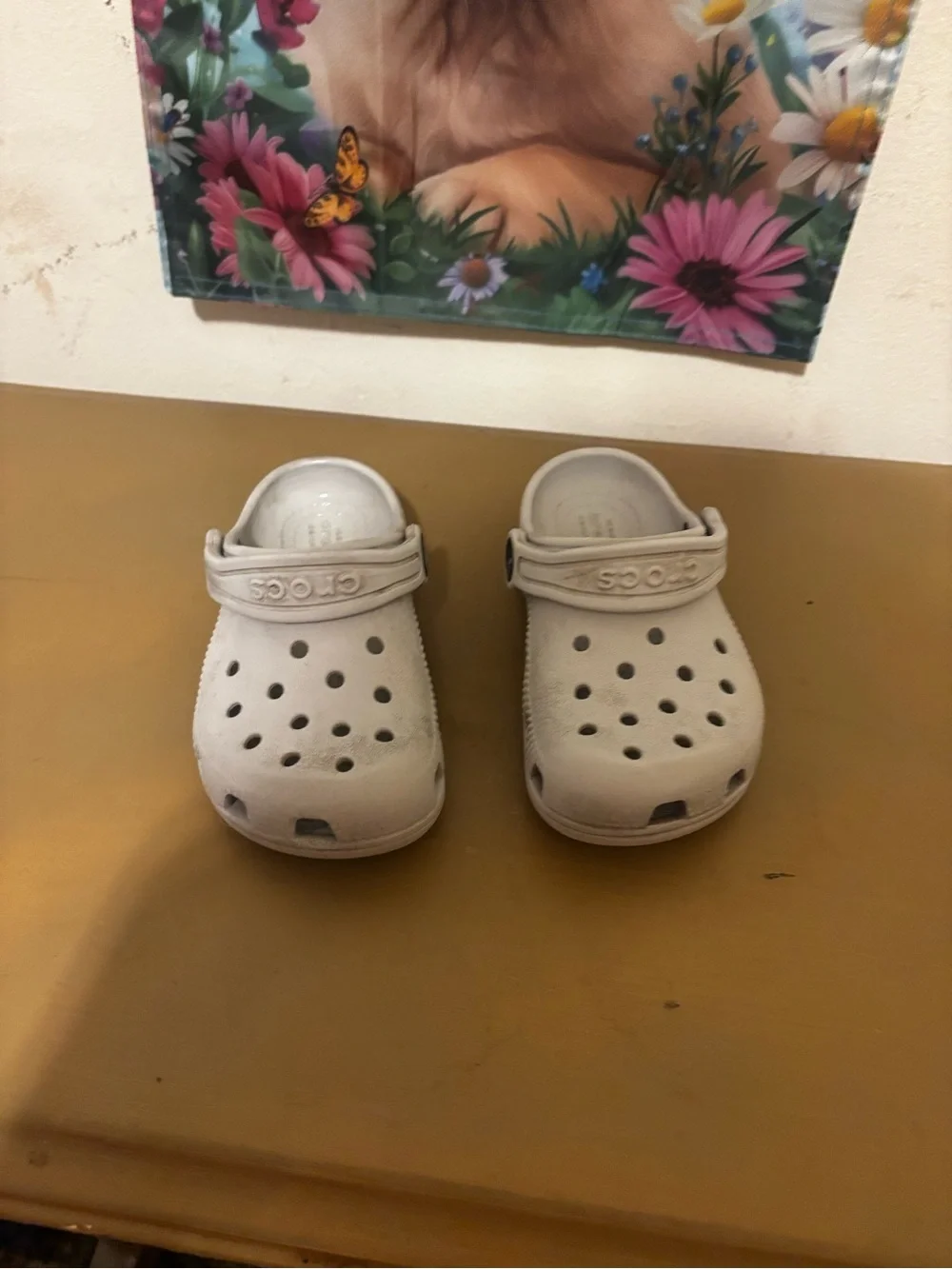 CROCS Kids Classic Clog in Light Gray C8